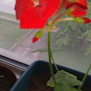 Meet your Posher, Jo